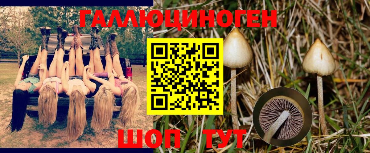 Знаменск  Галлюциногенные грибы MAGIC MUSHROOMS  Вход с VPN 