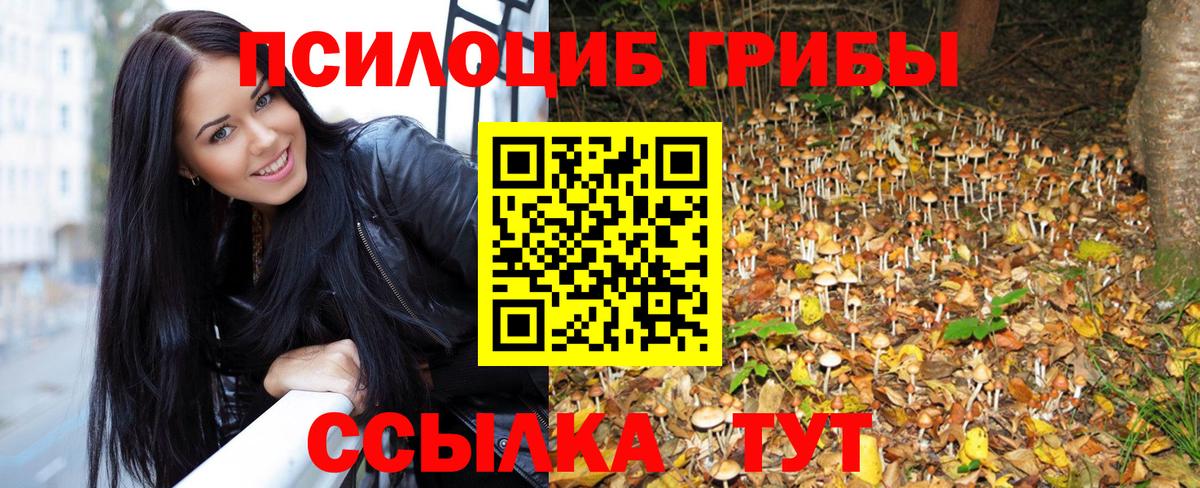 Псилоцибиновые грибы MAGIC MUSHROOMS Знаменск